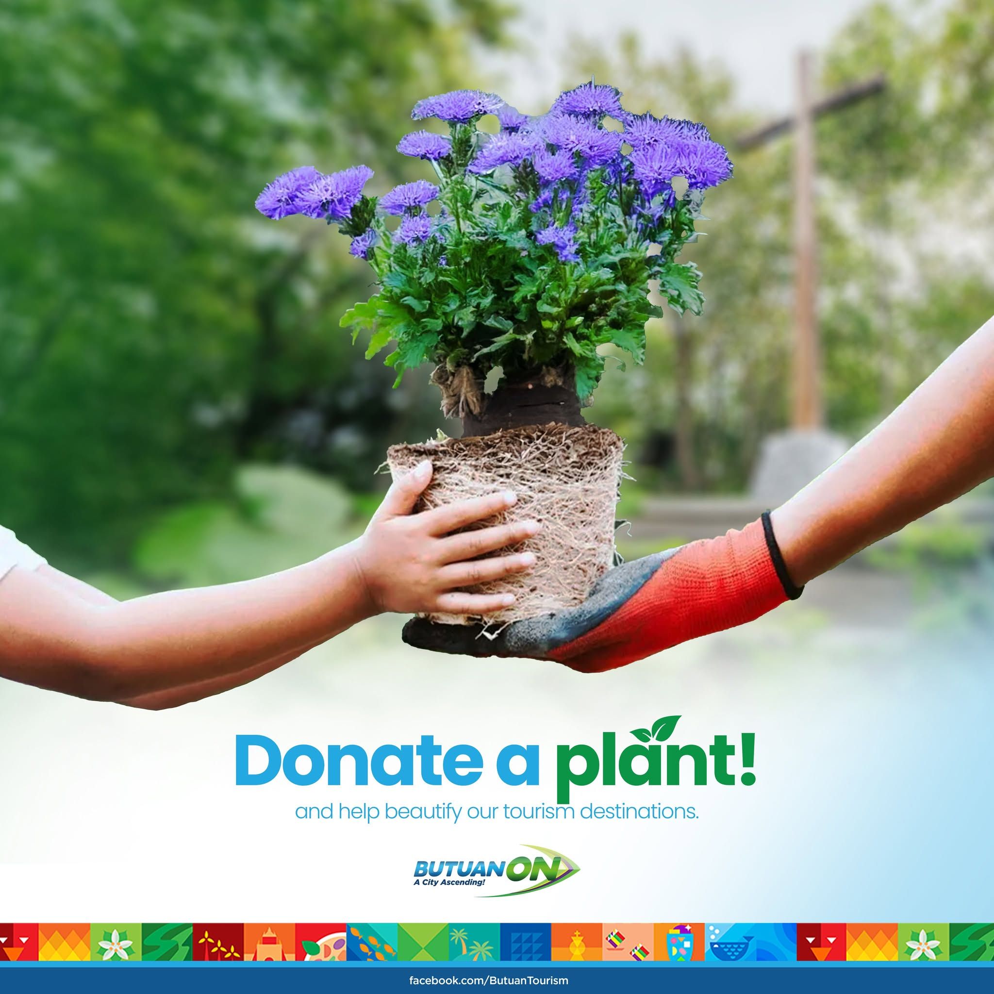 Donate a Plant